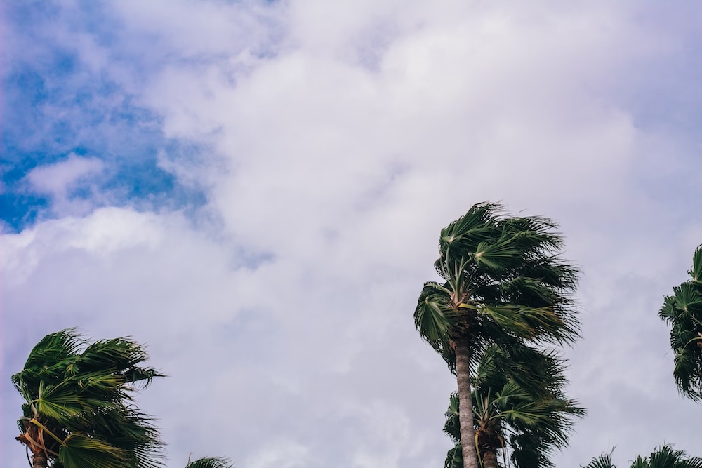 Hurricane Blog copy
